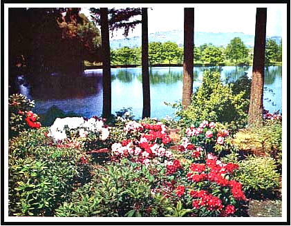 Crystal Springs Island