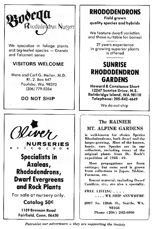 add03.jpg (279899 bytes)