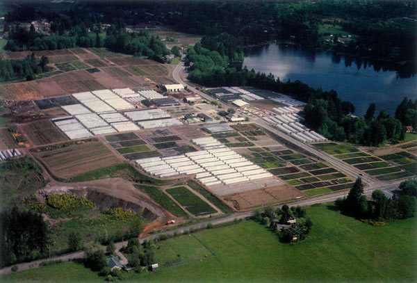 Briggs Nursery, Olympia, Washington