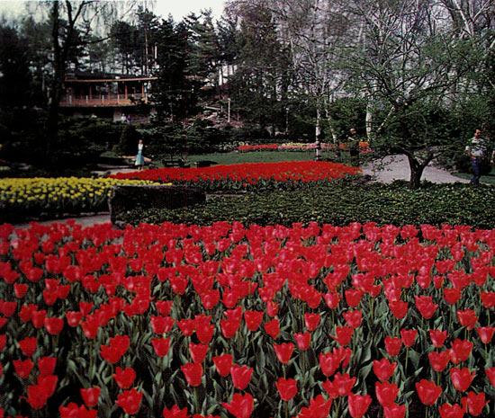 Tea House at the Royal Botanical
Gardens.