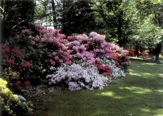 Guelph Horticultural
Research Institute of Ontario