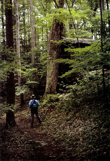 Trail at higher elevation.