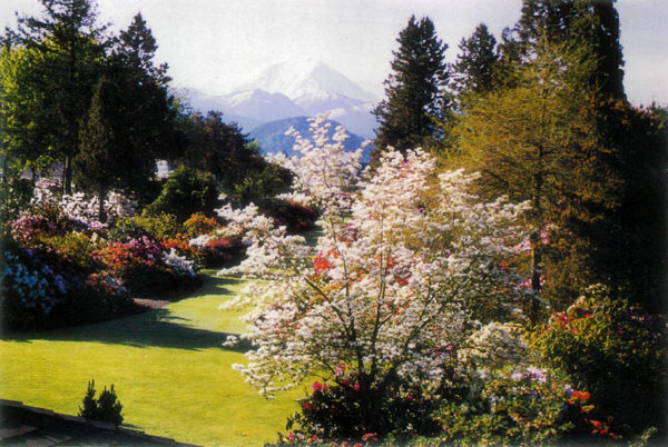 Anderson garden, Enumclaw, WA